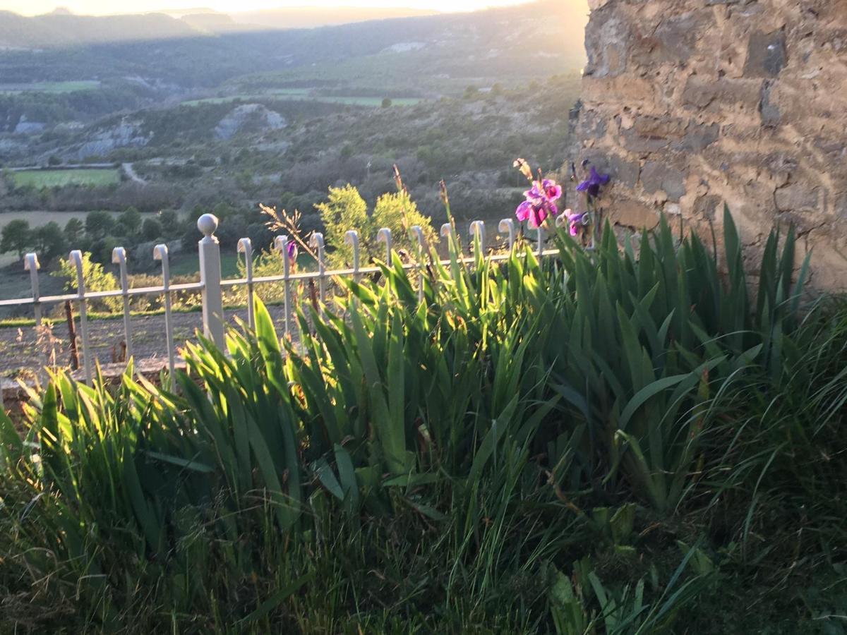 منزل الضيف Coscojuela de Sobrarbe  في La Abadia المظهر الخارجي الصورة